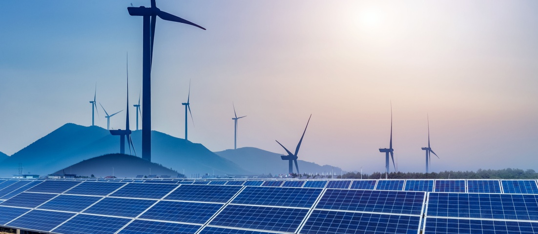 India Renewable Energy Sector Report 2024-2025